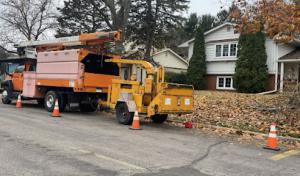 Midwest Tree Removal