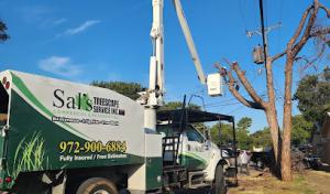Sal's Landscape & Tree Service