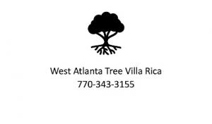 West Atlanta Tree Service Villa Rica