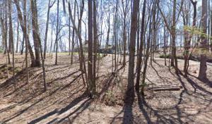 Two Brothers Tree Service / Two Brothers Services