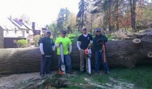 Rocket Rooter Septic & Plumbing