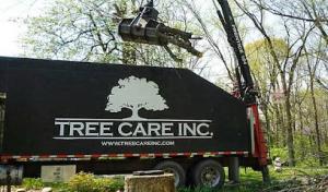 Tree Care