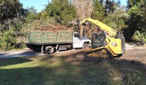 T.R.E.E. Trimming & Removals Easily & Efficiently