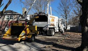 Warrensburg Tree Care