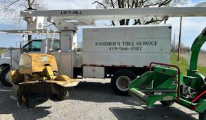 Hammer Tree Service