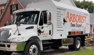 Arborist Tree Expert