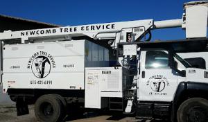 Newcomb Tree Service