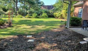 Variety Tree Services