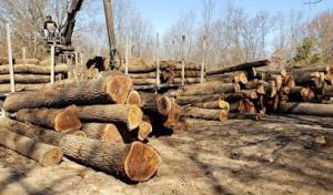 Williams Property Management