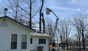 Countryside Tree Service