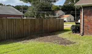 High Top Tree & Landscape