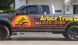 Arbor Tree Care