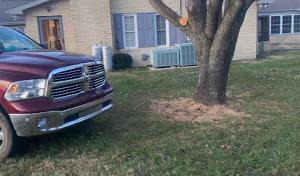 Huff's Tree Service & Handyman