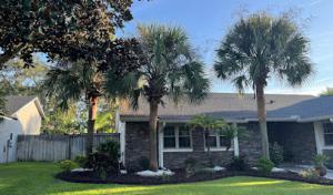 Premier Outdoor Tree Services