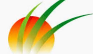 Sunworks Tree Services