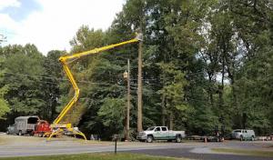 Premier Tree Service