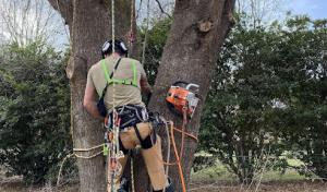 Ross Property Service