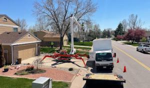 Lumber Jack & Jill Tree Service