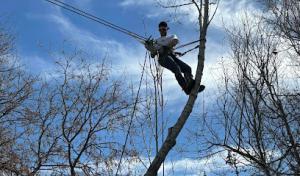 Elite tree & land care