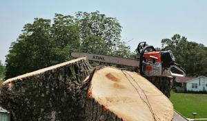 Harper's Tree Service