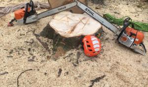 A&Y Landscaping & Tree Services