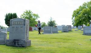 Sabia Landscaping & Tree Service