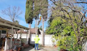 Franco Tree Service