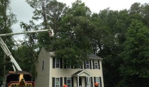 Hanover Tree Service