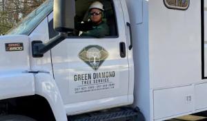 Green Diamond Tree Service & Landscaping