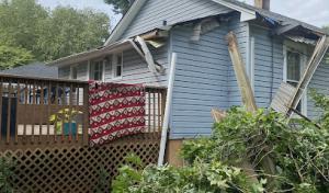 Mel’s Tree Service