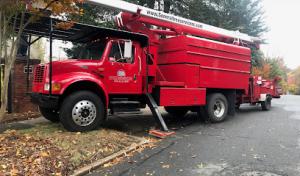 General Tree Service