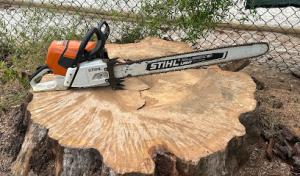 Braddock Bros Tree Care