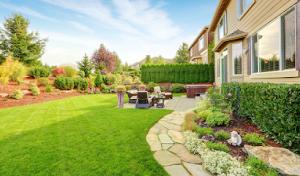 Danny International Tree Service