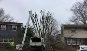 A Touch of Grass Tree Service