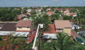 Spider-Man Tree services