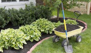 International Tree Service