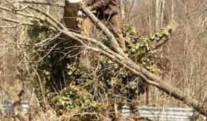 C & A Tree Service