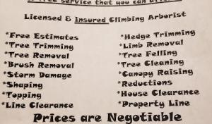 Helping Hands limb &Tree