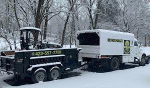 Hoover's Arborscapes