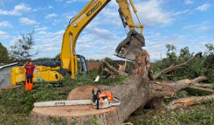 D&M Tree Service Of The Carolinas