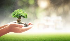 Goldanbrown Tree Service