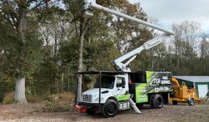 TSR Tree & Stump Service