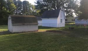 Steve D's Tree Service