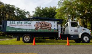Stanage Tree Service