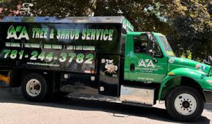 AA Tree Service