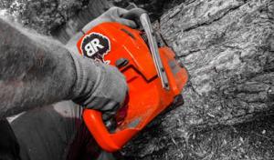 Blue River Forestry & Tree Care