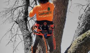 Ferrals Family Landscaping & Tree Services