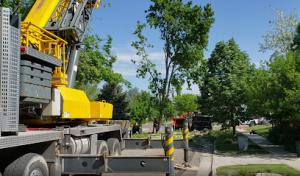 Timber Ridge Tree Service