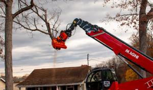 Patriot Tree Service