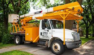 Carr's Tree Service